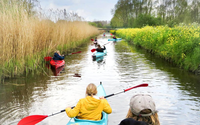 Surf &amp; Action Camps 